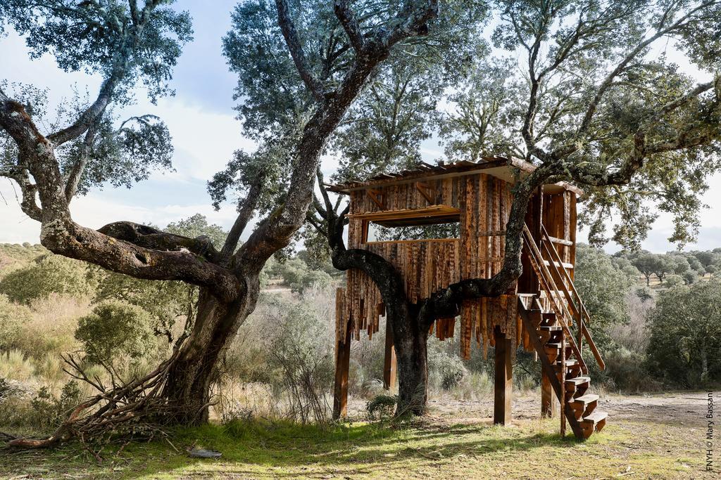 Eco-Lodge En La Reserva Privada Campanarios De Azaba - Proyecto De Conservacion Espeja Екстериор снимка