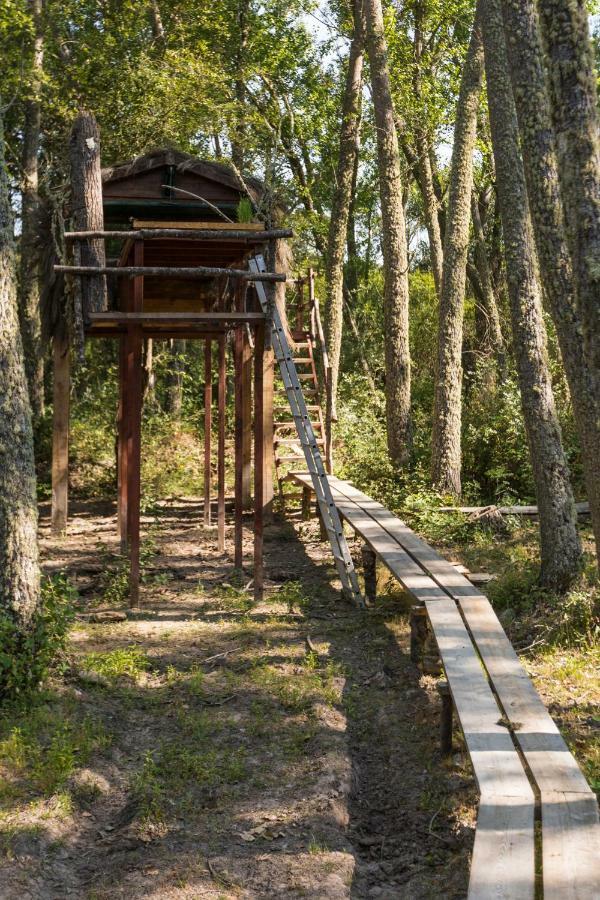 Eco-Lodge En La Reserva Privada Campanarios De Azaba - Proyecto De Conservacion Espeja Екстериор снимка