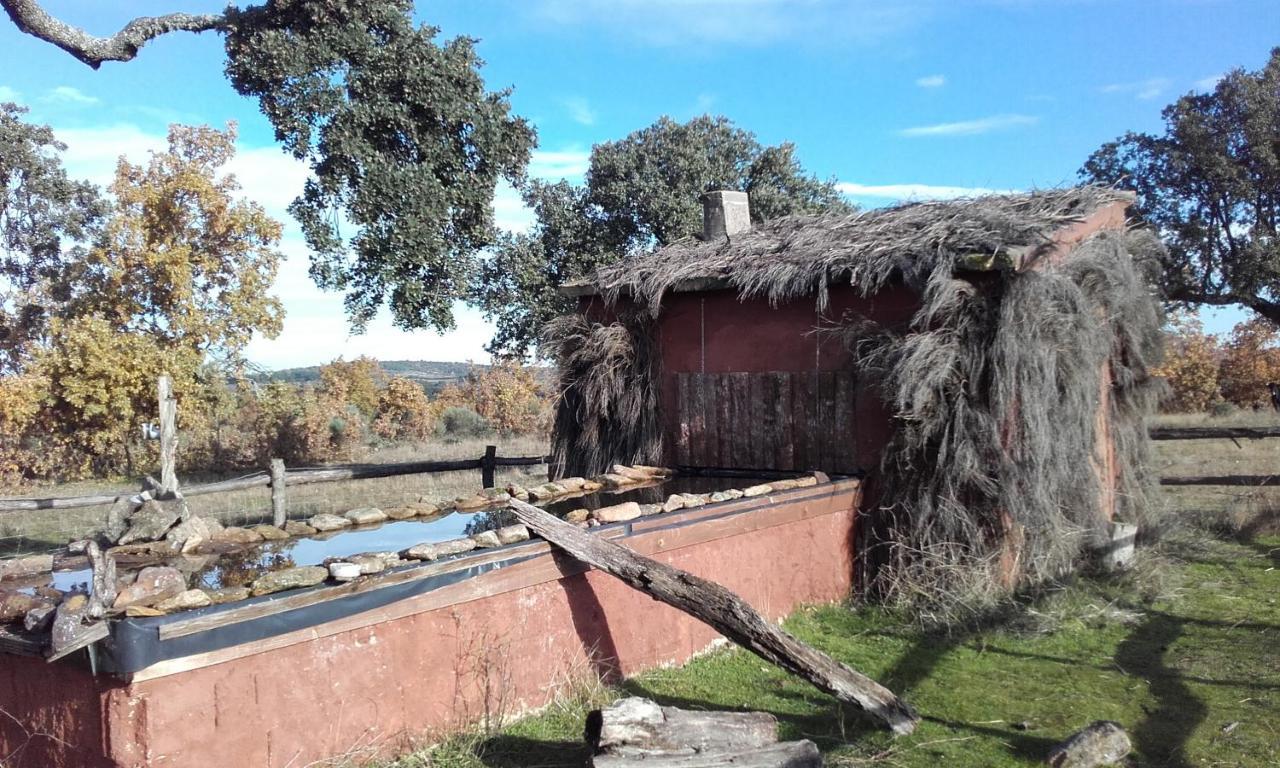 Eco-Lodge En La Reserva Privada Campanarios De Azaba - Proyecto De Conservacion Espeja Екстериор снимка